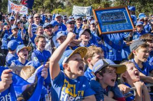 True blue: Western Force supporters may have some cause for hope as the Indo-Pacific Competition looms.