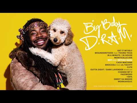 DRAM - WiFi feat. Erykah Badu (Audio)