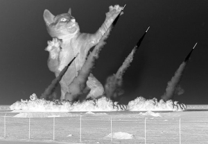 MissileDefenseCat