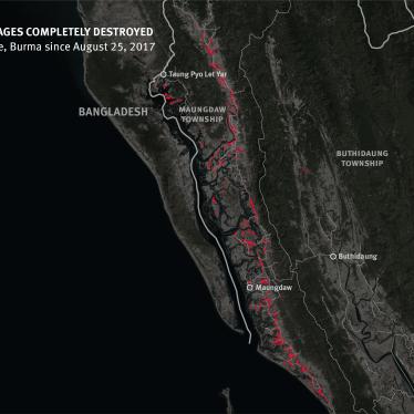 Burma: Satellite Imagery Shows Mass Destruction 