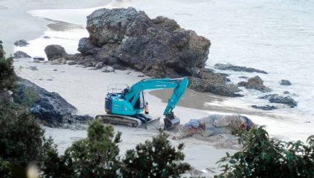 The dead whale being buried on Nobbys Beach, Port Macquarie. 