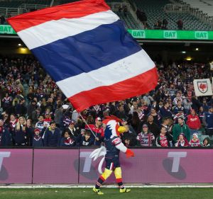 New South Wales's team? Not quite: Sydney Roosters fans after their win over the Broncos.