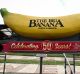 Australia's favourite Big Thing, the Big Banana in Coffs Harbour, celebrated its 50th anniversary two years ago. 