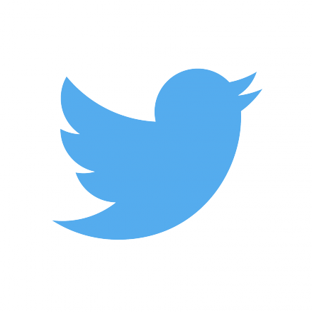 Twitter logo - large