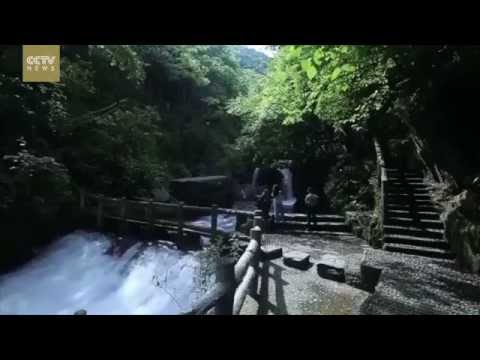 Shennongjia in China's Hubei Province listed in World Heritage Site