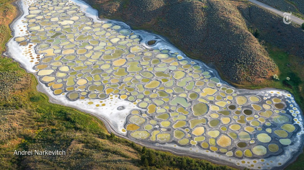 Spotted Lake looks psychedelic when it's hot out