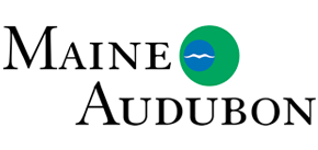 Maine Audubon