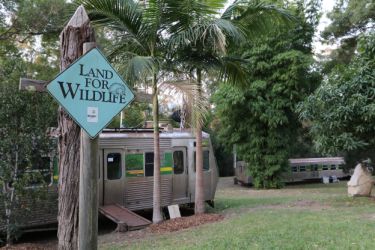 Mick's life in an old train carriage for seven years