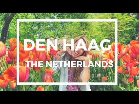 TRAVEL GUIDE:  Den Haag + Day Trips