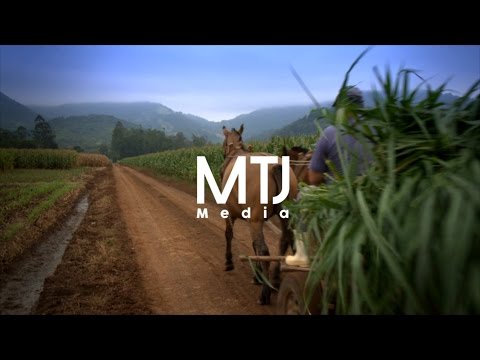 MTJ Media Film & Video Production Company Oxford