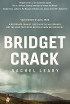 Bridget Crack. By Rachel Leary.