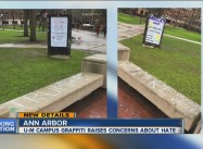 Michigan faculty Support Muslim Students on Campus in face of Trumpian Hate-Chalking