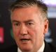 Collingwood boss Eddie McGuire said football clubs had become a "lightning rod on social issues" because politicians had ...