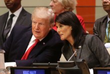 Donald Tump and Nikki Haley lean together to talk behind a desk at the UN. 