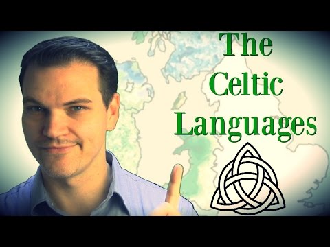 The Celtic Languages