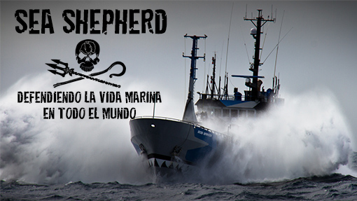 Sea Shepherd España