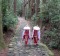 Pilgrims dressed in traditional clothing climb Daimon-zaka Slope along the Kumano Kodo, Japan. 