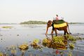 Taking a ride in Kandalama Lake near the town of Dambulla in central Sri Lanka.