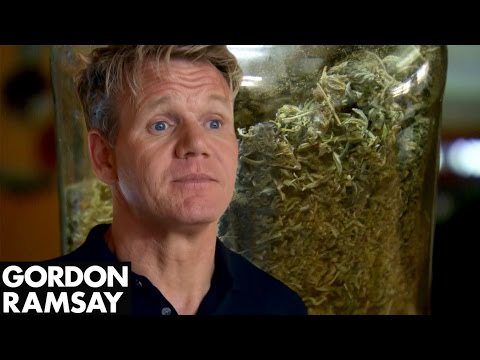 "High As A Kite" Owner Shows Gordon His Medicinal Marijuana | Hotel Hell