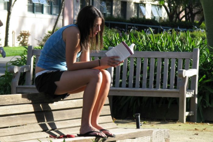 A woman sits on top of a bench reading