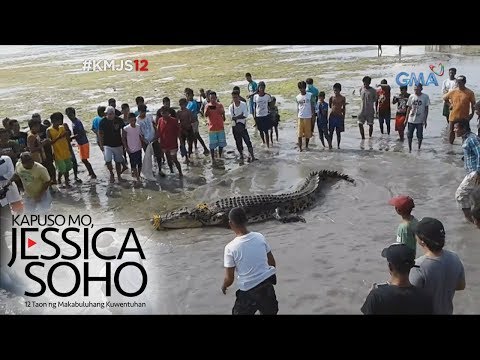 Kapuso Mo, Jessica Soho: Higanteng buwaya, namataan sa Tawi-tawi