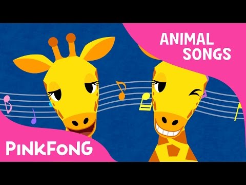 Che Che Koolay Giraffe | Giraffe | Animal Songs | Pinkfong Songs for Children