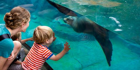 woman and child looking at a sea lion through the glass