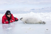 Michelle Rodriguez and seal pup. Photo: Bernard Sidler/Sea Shepherd