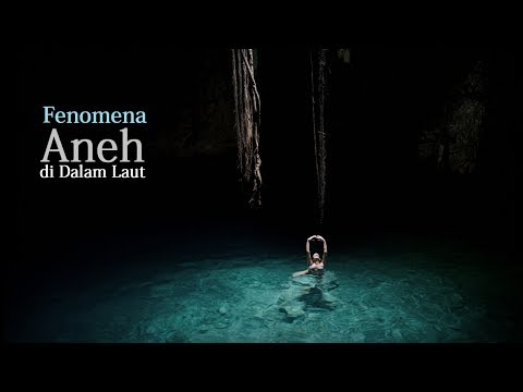 5 Fenomena Aneh di Dalam Laut yang Tertangkap Kamera!