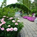 Lerner-Garden-Entrance-with-Peonies-DSC_6405