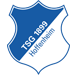 TSG 1899 Hoffenheim