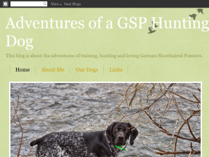 Adventures of a GSP Hunting Dog