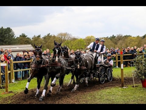 Four in hand Championship Horst 2017. Boyd Exell Marathon