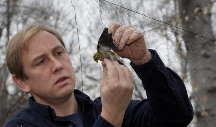 Conservation scientist holds bird caught in net