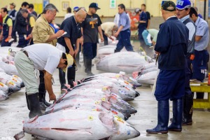 The tuna auction at Tsukiji Market. If you want to be one of the few tourists allowed to see it, you'd best arrive at 3am.