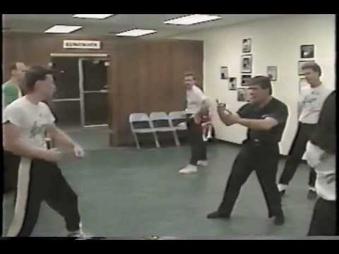 WING CHUN SIFU MEADOWS 詠春拳實戰教學應用