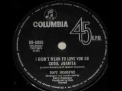 DAVE MEADOWS - I DIDN'T MEAN TO LOVE YOU SO GOOD , JUANITA