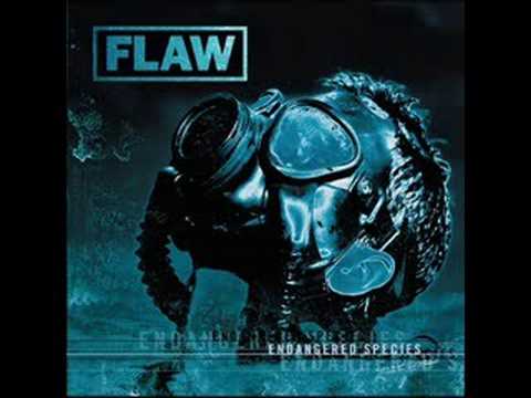 Flaw Medicate