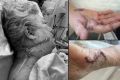 Denise Pederson suffered horrific injuries to her neck, hands and face after she was brutally attacked in her own home ...