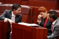 Minister for Education and Training Simon Birmingham during discussions with Senator Pauline Hanson in the Senate at ...