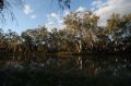 There has been a series of 'black water' events in the Murray-Darling in recent years.