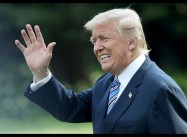 Trump “presidency” as Ponzi Scheme: Madoff in the White House?