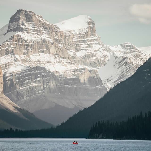 Canoe among snow covered peaks 🏔
Photo by: @jakegrahamphoto
#MyJasper #VentureBeyond