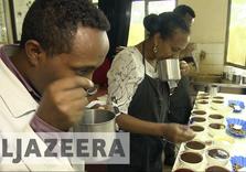 Can Coffee survive Climate Change?