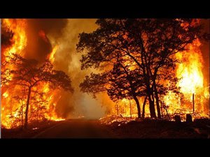 Watch a sheriff's deputy's terrifying drive through deadly California fire