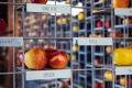 Apple varieties at Willie Smith's Cider & Apple Shed.