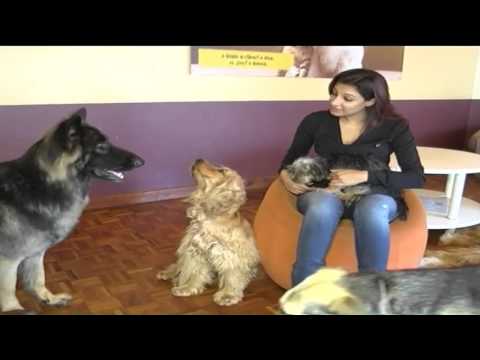 VIP Spa: Kenya's first dog spa