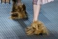 A model wears footwear with wisps of fur as part of the Gucci women's Fall-Winter 2015-2016 collection in Milan, Italy. 