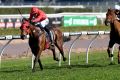 Red-letter day: Kerrin McEvoy rides Redzel to victory in the Concorde Stakes.