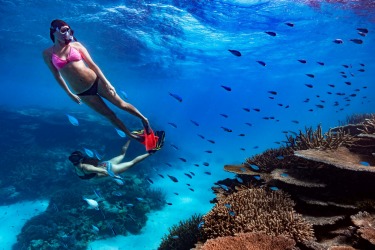 Taking the plunge into the pristine underwater world of the Great Barrier Reef on Orpheus Island, North Queensland.